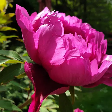 Zur Luppbode Treseburg