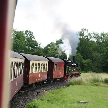 호텔 Zur Luppbode 트레세부르크