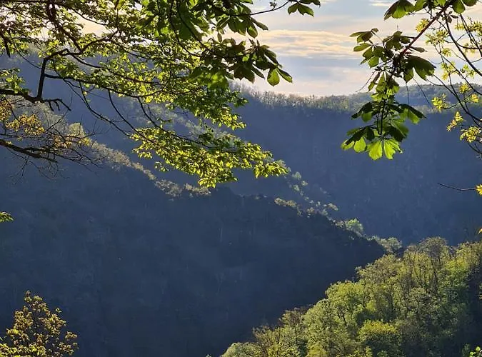 فندق Zur Luppbode