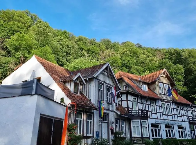 Zur Luppbode Hotel 3*