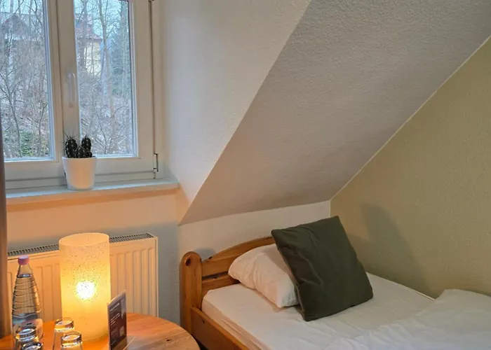 Hotel Zur Luppbode 3*