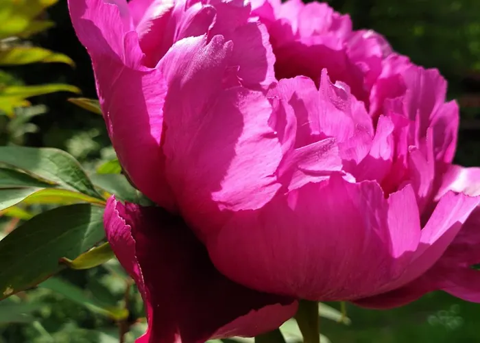 Zur Luppbode Treseburg